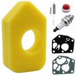 Kit de r�paration pour pompe � diaphragme briggs stratton, filtre, ressorts de bougie