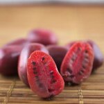 Kiwi de sib�rie arguta purpurea femelle ? fruits pourpres sucr�s ? exposition ensoleill�e � mi - ombrag�e ...