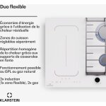 Klarstein plaque induction et gaz 7 kw �conomique avec support en fonte, po�le induction - double plaque ...
