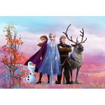 Komar - papier peint photo la reine des neiges 2 disney anna elsa olaf sven kristoff tous ensemble 368cm ...