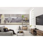 Komar - papier peint star wars faucon millenium 368x127