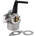 Kzq - kit de carburateur pour motoculteur briggs stratton 696065 - pi�ces de rechange avec joint en m�tal ...