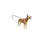 Petsafe - laisse anti - traction solide / durable / réfléchissant pour harnais 3 en 1 pour chien Petsafe - laisse anti - traction solide / durable / réfléchissant pour harnais 3 en 1 pour chien