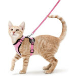 Laisse pour chat et petit chien - harnais r�glable pour chaton - r�fl�chissant - gilet respirant - lapin ...