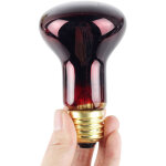 Lampe chauffante infrarouge 60 w � lumi�re rouge, ampoule en verre pour l�zards, reptiles et amphibiens ...