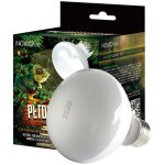 Lampe de jour reptiles tortues terrain 50w animaux Lampe de jour reptiles tortues terrain 50w animaux