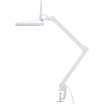 Lampe loupe led cee: f (a - g) toolcraft to - 7567476 led n / a puissance: 10 w blanc froid n / a
