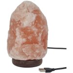 Lampe de sel dcorative socle bois (h17cm) avec connexion usb