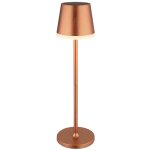Lampe de table solaire lampe d'extérieur led champagne batterie lampe de jardin lampe de terrasse, métal ... Lampe de table solaire lampe d'extérieur led champagne batterie lampe de jardin lampe de terrasse, métal ...