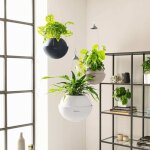 Jardiniere - bola color 32 - kit complet - blanc - 3 l - lechuza