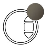 Enjoliveur c�liane pour interrupteur individuel radio rts somfy finition graphite (067979)