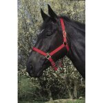 Licol double �paisseur rouge pour cheval