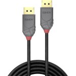 C�ble de raccordement lindy displayport fiche m�le displayport, fiche m�le displayport 5. 00 m noir 36484 ...