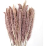 Litzee - 30 pcs herbe de la pampa, 60 cm naturel pampa fleur bouquet de fleurs sechees pour vases, boho ...