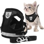 Harnais chat, harnais pour chat, laisse harnais chat, harnais laisse pour chat, harnais pour chat avec ...