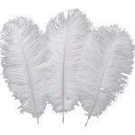 Lot de 10 plumes d'autruche pour dcoration d'intrieur, mariage 30  35 cm