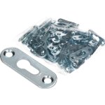 Lot de 100 ferrures � t�te bomb�e galvanis�es 44 x 16 mm - universel - pour armoire - montage rapide