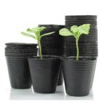 Lot de 100 pots pour semis 60x45x58 mm gardenline