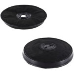 Lot de 2 filtres charbon type e233 fac519 eff57 235x20 mm