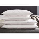 2 oreillers mousse � m�moire de forme 40x70 cm lot de 2 60 kg / m3 certifi� oeko tex et certipur fabriqu� ...