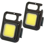 Lot de 2 porte - cls lumineux rechargeables ultra lumineux [classe nergtique b]