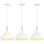 Wottes - lot de 3 lustre suspension moderne e27 lampe suspension métal bois suspension luminaire Ø24cm ... Wottes - lot de 3 lustre suspension moderne e27 lampe suspension métal bois suspension luminaire Ø24cm ...