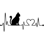 Lot de 4 autocollants pour voiture, chat, pare - chocs, fenêtre, camion Lot de 4 autocollants pour voiture, chat, pare - chocs, fenêtre, camion