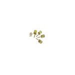 Lot de 4 querres de fixation + vis pour panneau