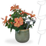 Lot de 4 globes d'arrosage, irrigation automatique, arrosoirs en forme d'oiseau, 200 ml chacun, transparent ...