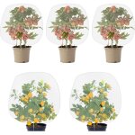 Lot de 5 filets anti - insectes avec cordon de serrage - filet de protection contre les insectes et les ...