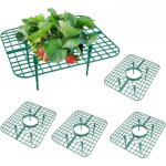 Lot de 5 supports de culture pour fraises et fruits