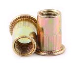 Lot de ecrous de rivet insert filetage métrique en acier au carbone zingué (m10 × 20pcs) Lot de ecrous de rivet insert filetage métrique en acier au carbone zingué (m10 × 20pcs)