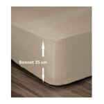 Les tendances ? drap housse 100% coton 160x200cm ? bonnet 35cm pour matelas �pais ? couleur beige ? lavable ...