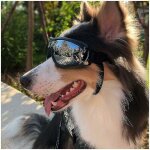 Vurahome - lunettes de soleil pour chien de compagnie lunettes de protection anti - uv imperm�ables et ...