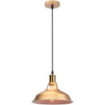 Lustre suspension industrielle vintage luminaire plafonnier abat - jour en mtal lampe  suspension ajustable ...