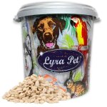 Lyra pet - 10 kg d'amandes d'arachide ® splits nouvelle récolte en tonne de 30 l Lyra pet - 10 kg d'amandes d'arachide ® splits nouvelle récolte en tonne de 30 l