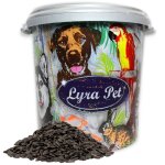 Lyra pet - 10 kg de graines de tournesol � noires nouvelle r�colte en bac de 30 l