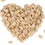 Lyra pet - 20 kg d'amandes d'arachide ® splits hk argentine Lyra pet - 20 kg d'amandes d'arachide ® splits hk argentine