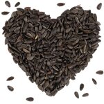 Lyra pet - 25 kg de graines de tournesol � noires hk bulgarie