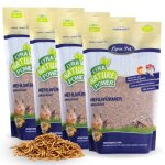 4 x 1 kg de vers de farine schs lyra pet