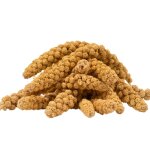 5 kg de millet jaune lyra pet