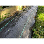 Maillestore - toile de paillage - noir - 100gr / m� - non pli� non pli�s 1. 25m x 100m noir