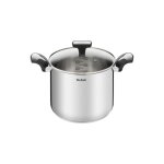 Marmite inox 22cm + couvercle en verre tefal e3016104