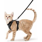 Mezheng - harnais chat petit chien laisse harnais chaton rglable noir s collier harnai chat reflchissant ...