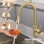 Mitigeur de cuisine � douchette extractible avec 2 jets, robinet pour �vier de cuisine avec douchette, ...