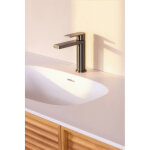 Mitigeur de lavabo en inox horace mod�le bas cartouche c�ramique �25 bass gris m�tal