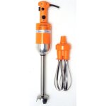 Mixeur plongeant professionnel 350w - dynamic