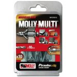 Molly - 10 chevilles m�tal multi �5x60 avec vis agglo m101010 - xj