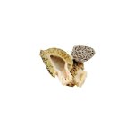 Morilles extra - champignons - bocal de 25 g