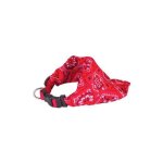 Morin - collier bandana star désignation : collier bandana star couleur : rouge taille : collier bandana ... Morin - collier bandana star désignation : collier bandana star couleur : rouge taille : collier bandana ...